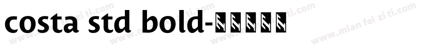 costa std bold字体转换